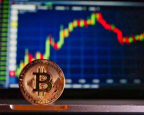 Image by Roy Buri from Pixabay