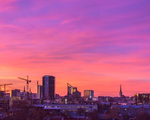 Photo by Ilya Orehov on Unsplash