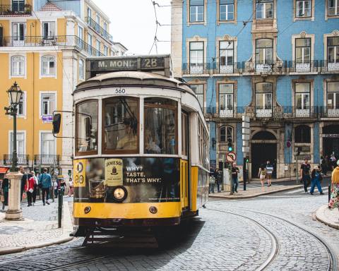 Photo by Paulo Evangelista on Unsplash