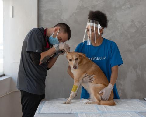 Photo by Mikhail Nilov from Pexels