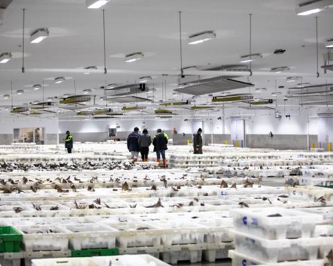 What Is A Cold Storage Warehouse?